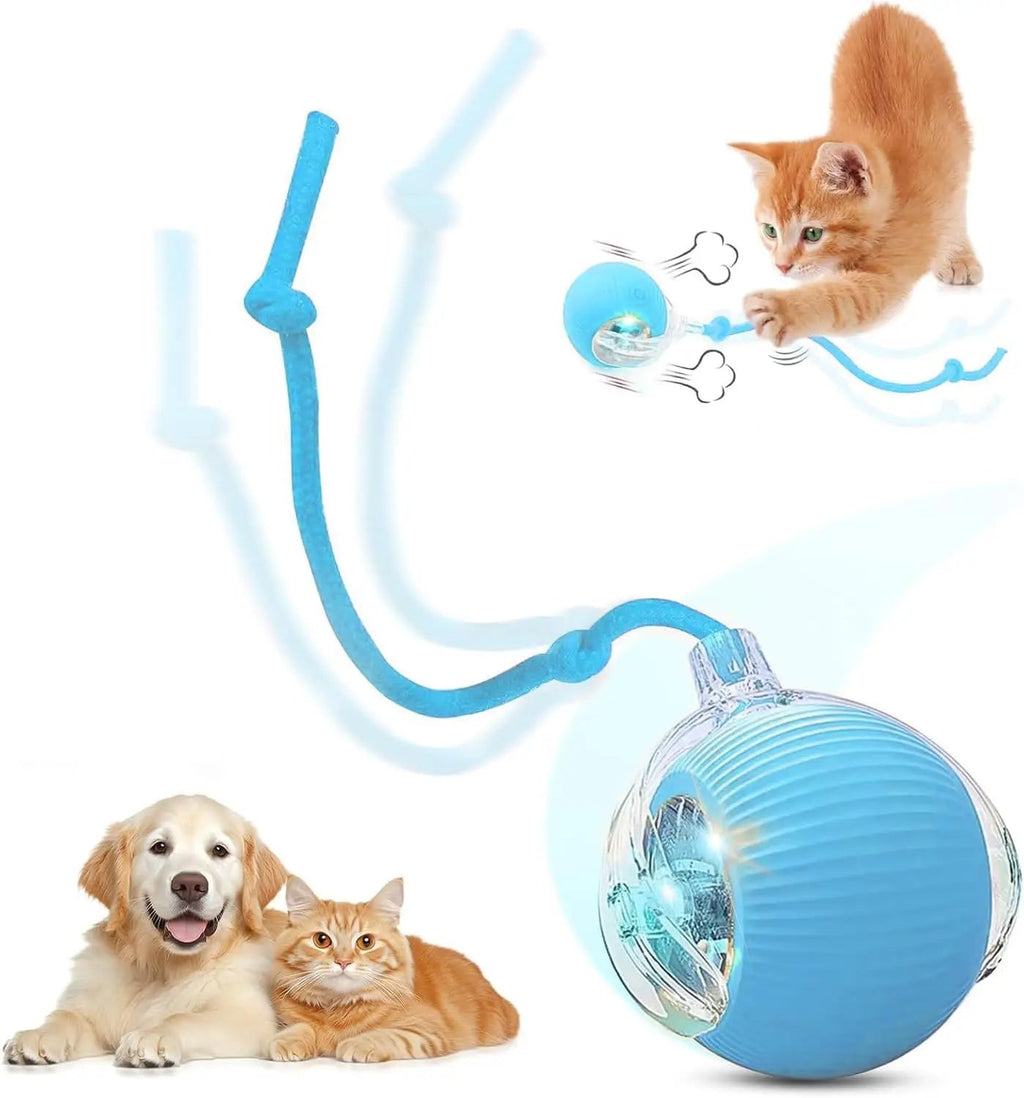 Smart Interactive Rolling Cat Toy Ball