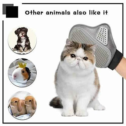 Moon Table Lamp | 3D Printed LED Night Light | Buy Online at Abinexis