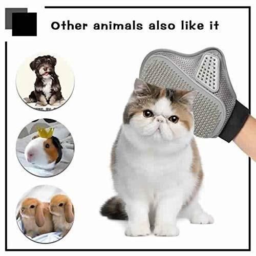 Moon Table Lamp | 3D Printed LED Night Light | Buy Online at Abinexis